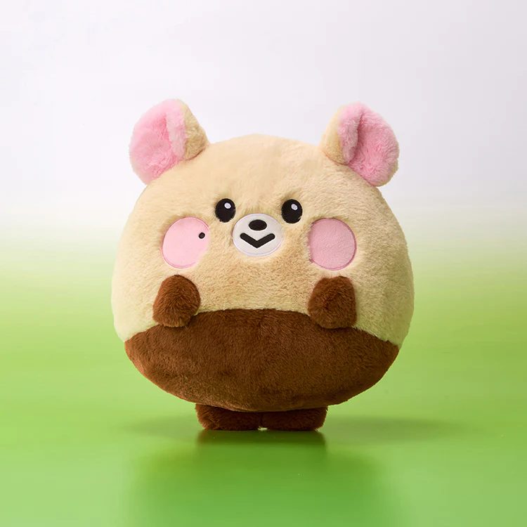 NCT DREAM - Dreamiez Big Flat Cushion - Image 26