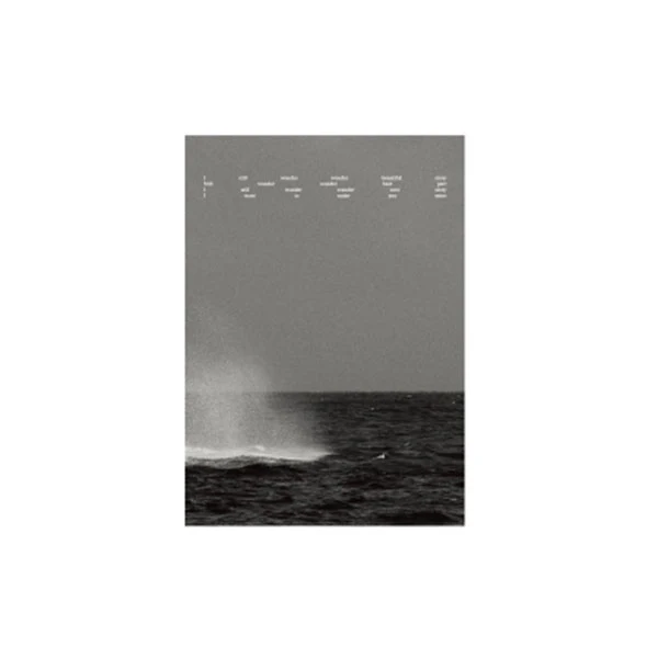 V - Poster Book [ARTSPACE: TYPE 1 Official MD]